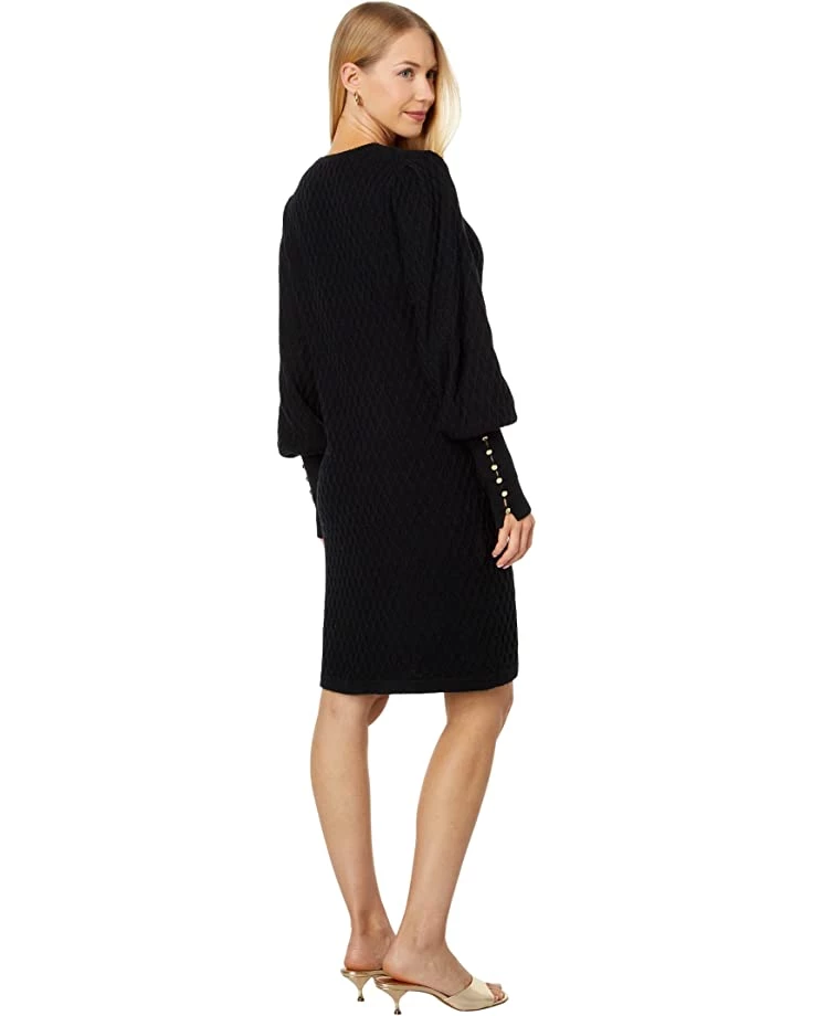 Lilly Pulitzer Dresses Jacquetta Sweaterdress 2 Lilly Pulitzer Dresses Jacquetta Sweaterdress - Image 2
